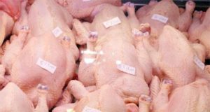 Gendarmerie de Boudry: saisie de 605 poulets de chair impropres à la consommation