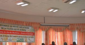 Burkina: des acteurs de la filière riz se battent pour la consommation locale