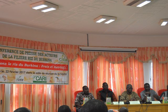 Acteur de la filière riz au Burkina