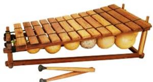 Triangle du Balafon de Sikasso: Le Burkina remporte la médaille d’or de la virtuosité