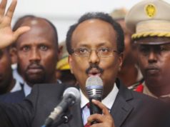 Somalie : du « fromage » empoisonné pour les shebabs et la corruption ?