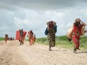 Crise humanitaire : l’Onu réclame davantage d’argent pour le Yémen, le Soudan du Sud et la Somalie