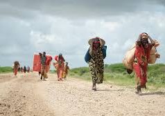 Crise humanitaire : l’Onu réclame davantage d’argent pour le Yémen, le Soudan du Sud et la Somalie