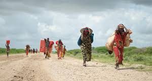 Crise humanitaire : l’Onu réclame davantage d’argent pour le Yémen, le Soudan du Sud et la Somalie