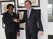 Coopération Pays-Bas-Burkina: Vaste concertation à La Haye