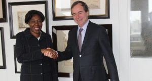 Coopération Pays-Bas-Burkina: Vaste concertation à La Haye