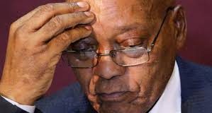 Afrique du Sud : la tragédie du roi Zuma