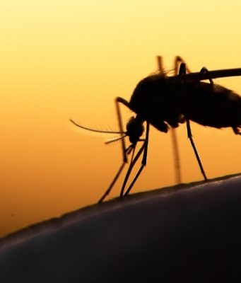Burkina: une campagne de chimio-prévention du paludisme saisonnier annoncée de juin à octobre 2026