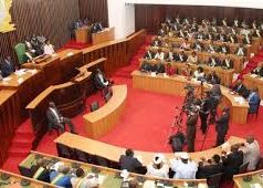 Assemblée nationale de Côte d’Ivoire : grande désillusion au RHDP !