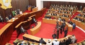 Assemblée nationale de Côte d’Ivoire : grande désillusion au RHDP !