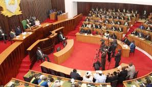 Assemblée nationale de Côte d’Ivoire : grande désillusion au RHDP !