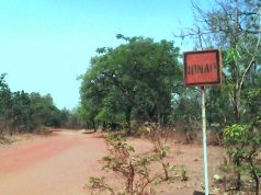 Sud-Ouest burkinabè : Irnao ou le riche village perdu sous les arbres