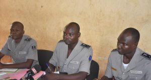 Burkina/Lutte contre la drogue: Un réseau démantelé et 718 Kg de cannabis saisis