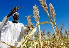 Journée nationale du paysan à Kaya : de grandes innovations en perspective