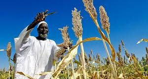 Journée nationale du paysan à Kaya : de grandes innovations en perspective