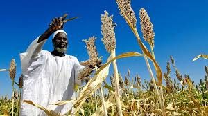 Journée nationale du paysan à Kaya : de grandes innovations en perspective