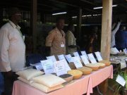 Burkina:L’utilisation des semences de variétés améliorées recommandée aux agriculteurs
