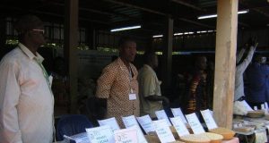 Burkina:L’utilisation des semences de variétés améliorées recommandée aux agriculteurs