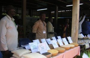 Burkina:L’utilisation des semences de variétés améliorées recommandée aux agriculteurs