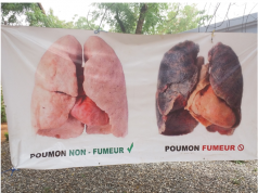Journée mondiale sans tabac 2017 : Objectifs et actions de la lutte