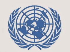 Sécurité au Mali: La force onusienne (Minusma) reconduite pour un an avec un mandat renforcé