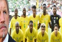 Reprise du match Afrique du Sud/ Sénégal: Les Bafana Bafana retropédalent