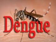 Burkina Faso: trois types de virus de dengue sévissent dans le pays (Dr Vincent Nikièma)