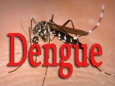 Dengue au Burkina: les précautions à prendre