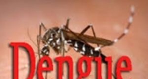 Dengue au Burkina: les précautions à prendre