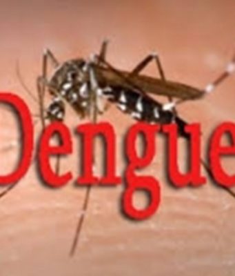 Burkina: «une augmentation inhabituelle et rapide de cas de dengue» à Ziniaré et Zorgho