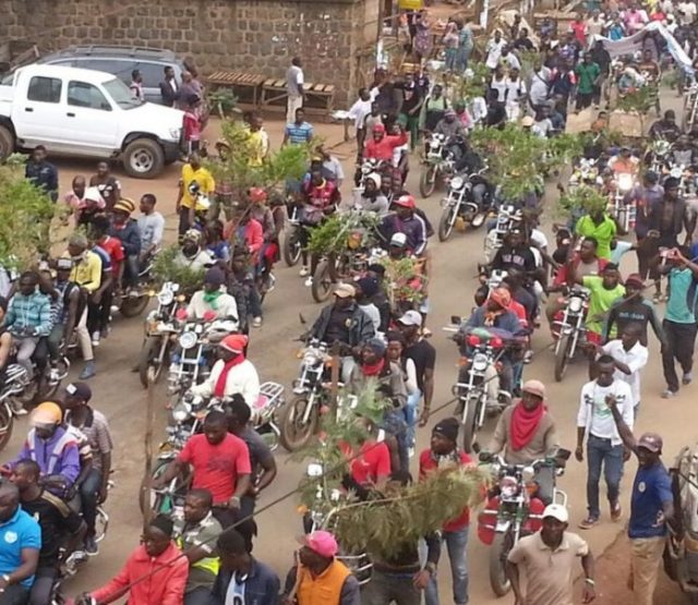 crise anglophones au cameroun