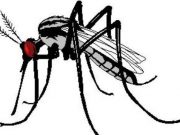 Burkina/Dengue : 4 017 cas suspects dont 11 décès enregistrés