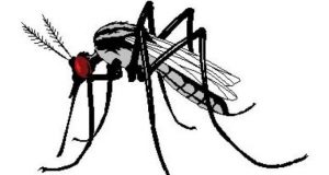 Burkina/Dengue : 4 017 cas suspects dont 11 décès enregistrés