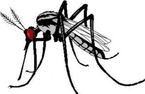 Burkina/Dengue : 4 017 cas suspects dont 11 décès enregistrés