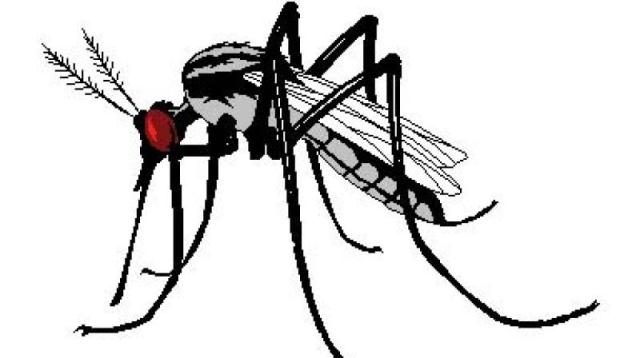 dengue