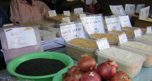 Burkina Faso: plus de 600 mille personnes en insécurité alimentaire