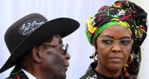 Zimbabwe: du dauphin naturel à la dauphine de grace