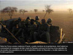 22 morts dans des affrontements à la frontière Guinée-Mali (BBC Afrique)