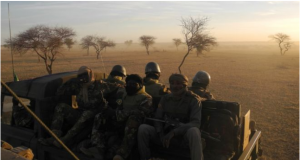 22 morts dans des affrontements à la frontière Guinée-Mali (BBC Afrique)