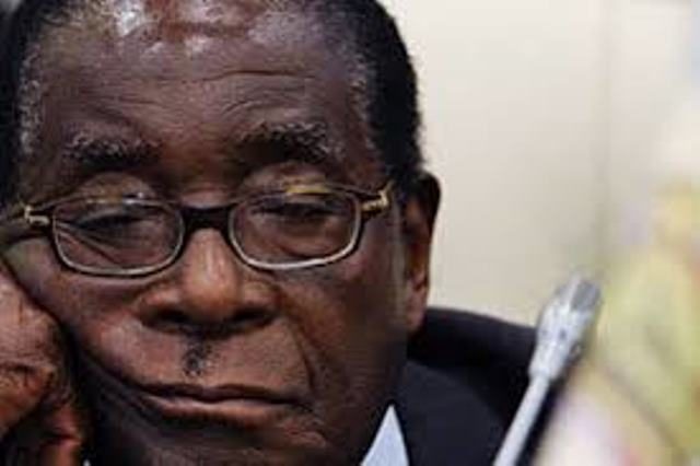 papy mugabe