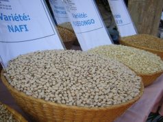 Burkina: 50 762 tonnes de céréales attendues de la campagne agricole de la saison sèche