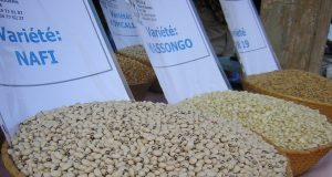 Burkina: 50 762 tonnes de céréales attendues de la campagne agricole de la saison sèche