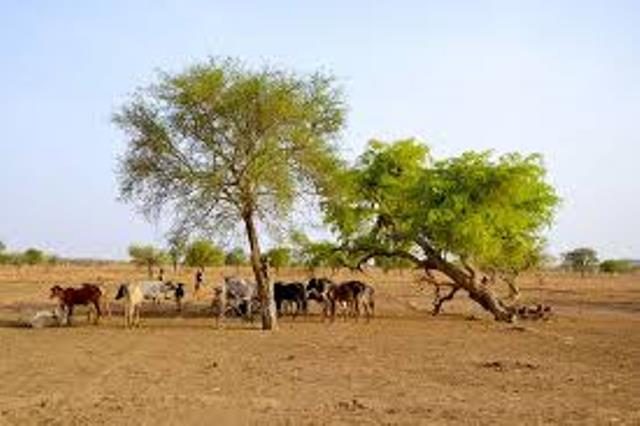 climat au Burkina