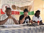 Burkina: le gouvernement « manque d’audace et de créativité » (Balai citoyen)