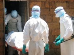 Fièvre de Lassa: zoom sur un danger de mort