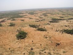 Le Sahel : naissance d’un autre Afghanistan ?