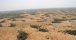 Le Sahel : naissance d’un autre Afghanistan ?