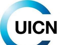 La directrice générale de l’UICN, en visite de travail dans la région Afrique centrale et Occidentale de l’Union