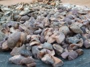 Axe Ouaga-Fada: 150 kg de viande d’hippopotame saisie à Boutenga (Eaux et Forêts)