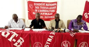 Campagne agricole:un syndicat dénonce une mauvaise gestion des intrants